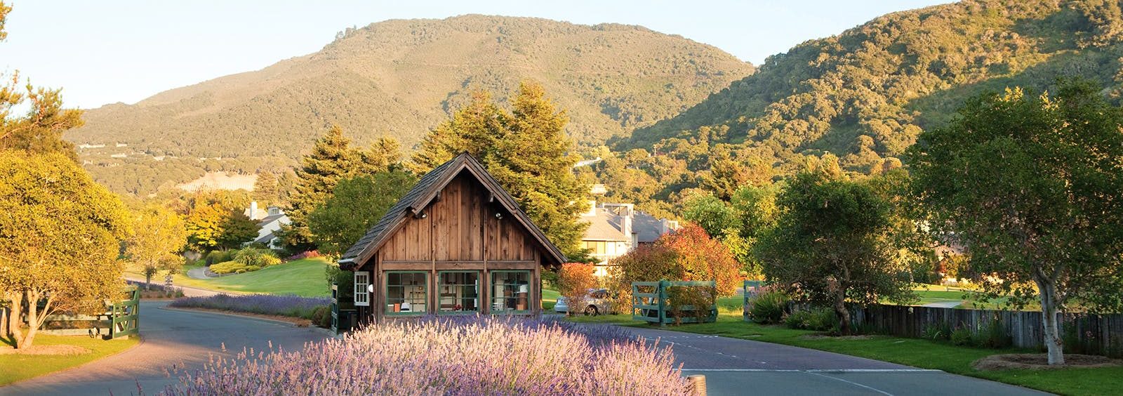 The Sweetest Wine Towns in the United States